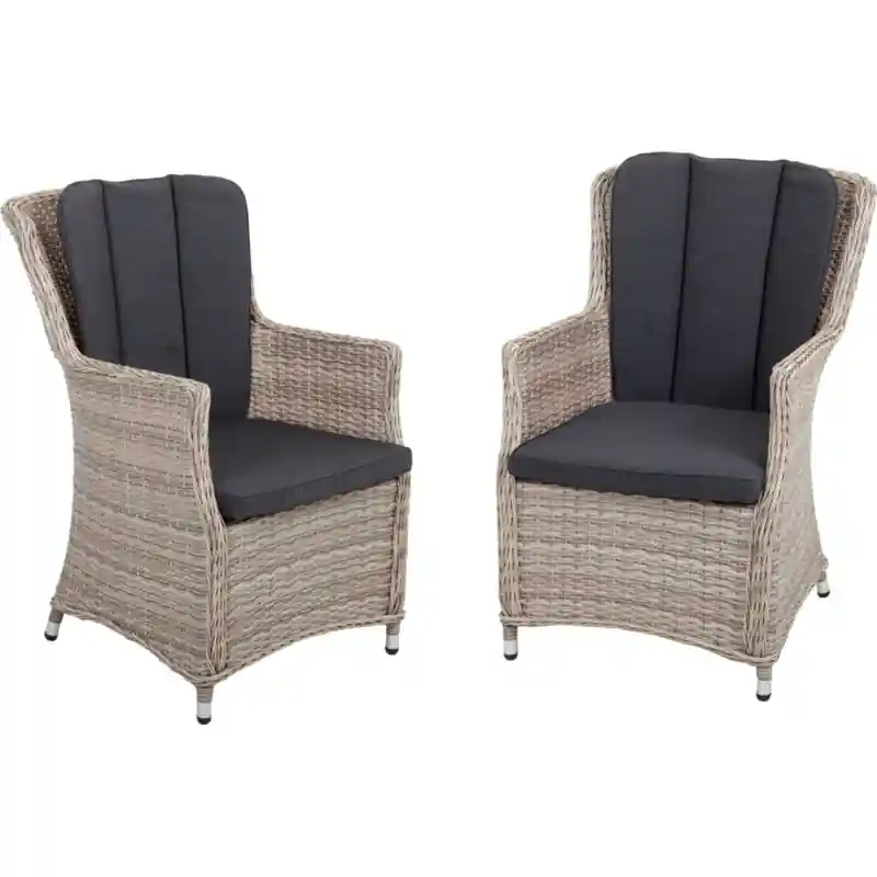 Top-Angebot Armsessel Dijon mit geschwungener Rückenlehne, 2er Set